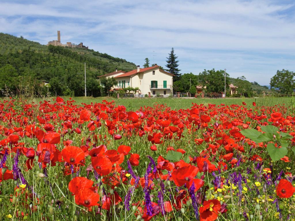 Belvilla By Oyo Montecchio Castiglion Fiorentino Bagian luar foto